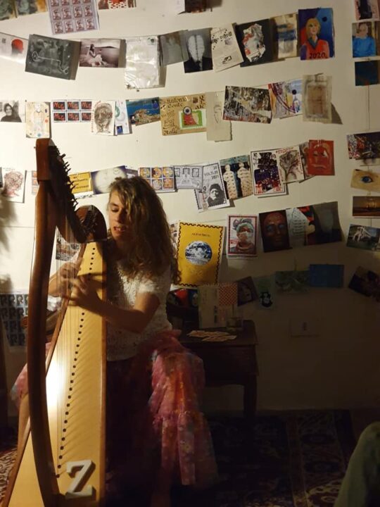 zena rotundi